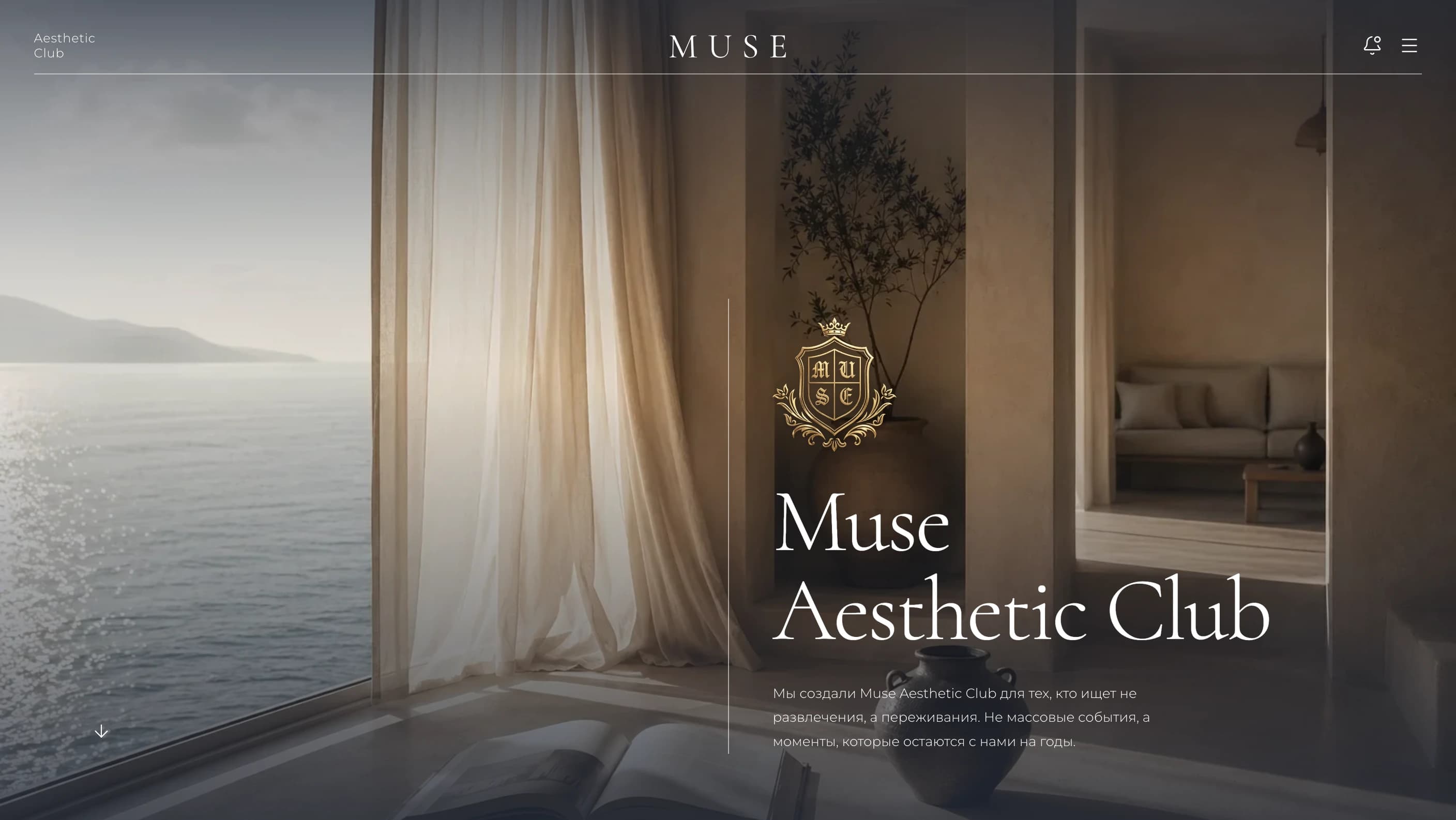 Страница о клубе Muse Aesthetic Club
